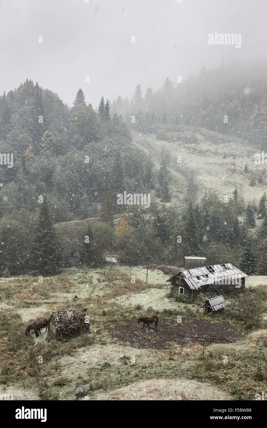 Altes Landhaus bei starkem Schneefall in Karpaten Berge in der Ukraine Stockfoto