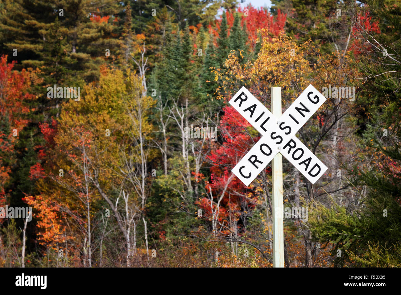Eisenbahn-Kreuzung Zeichen, New Hampshire, USA Stockfoto