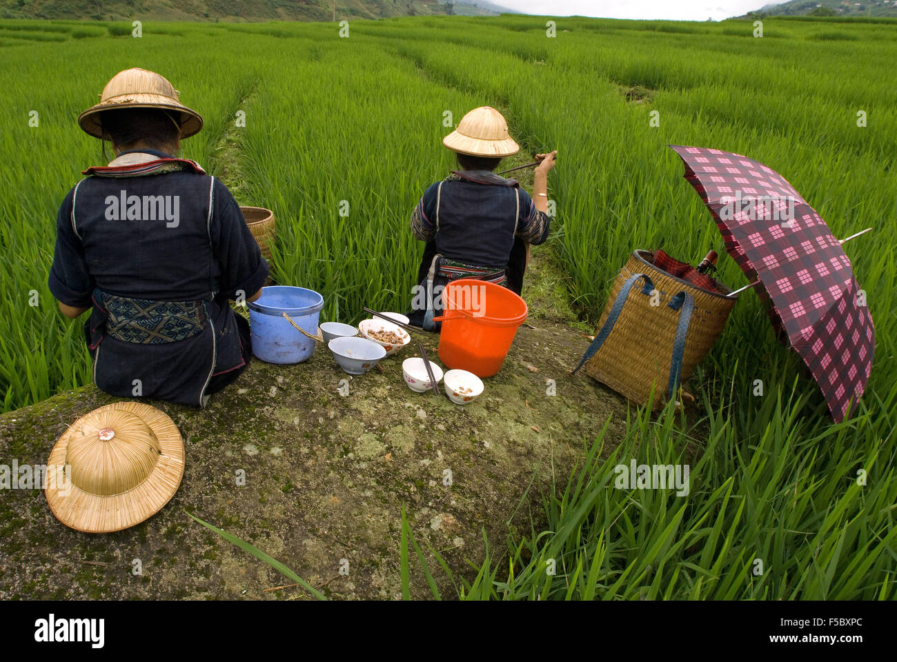 Einige Hmong Frauen neben einem Reisfeld in Sapa Weg zu den nahe gelegenen Dörfern der Lao Chai und Ta Van Essen. Vietnam. Stockfoto