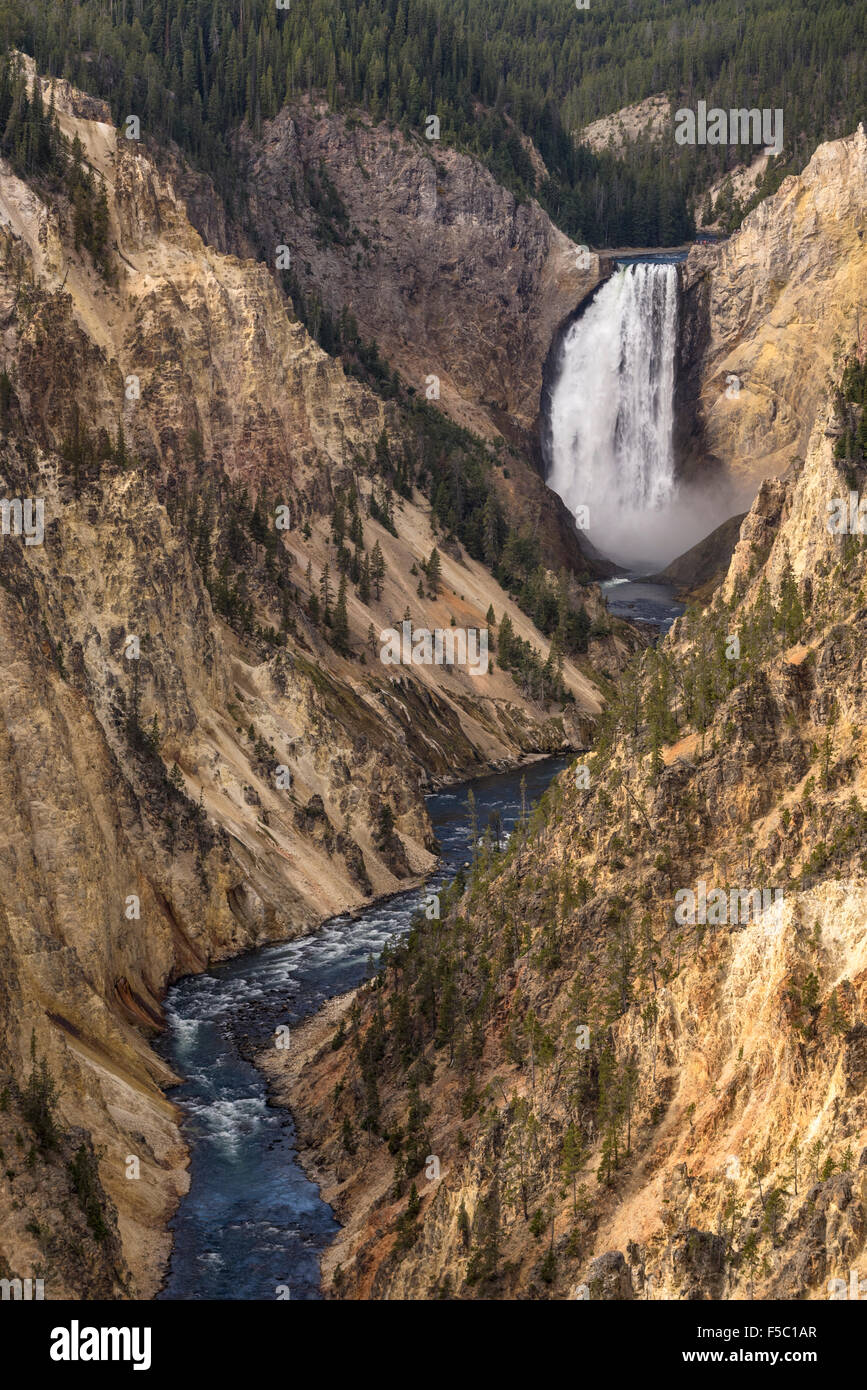 Lower Falls der Yellowstone River und dem Grand Canyon des Yellowstone vom Künstler Punkt; Yellowstone-Nationalpark, Wyomi Stockfoto