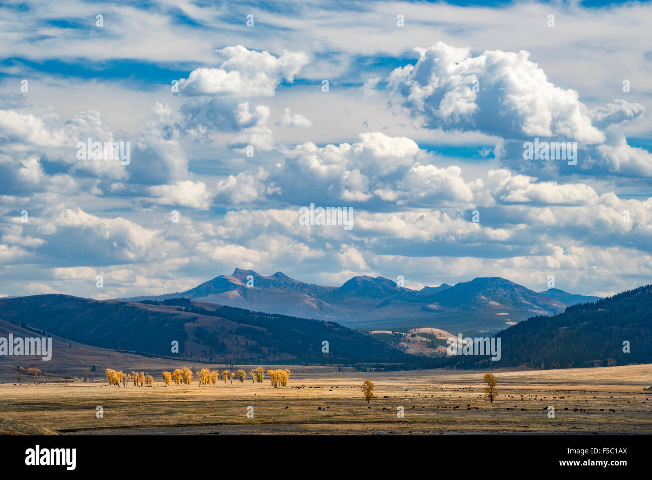 Lamar Valley und die Absaroka Berge im Herbst; Yellowstone-Nationalpark, Wyoming. Stockfoto