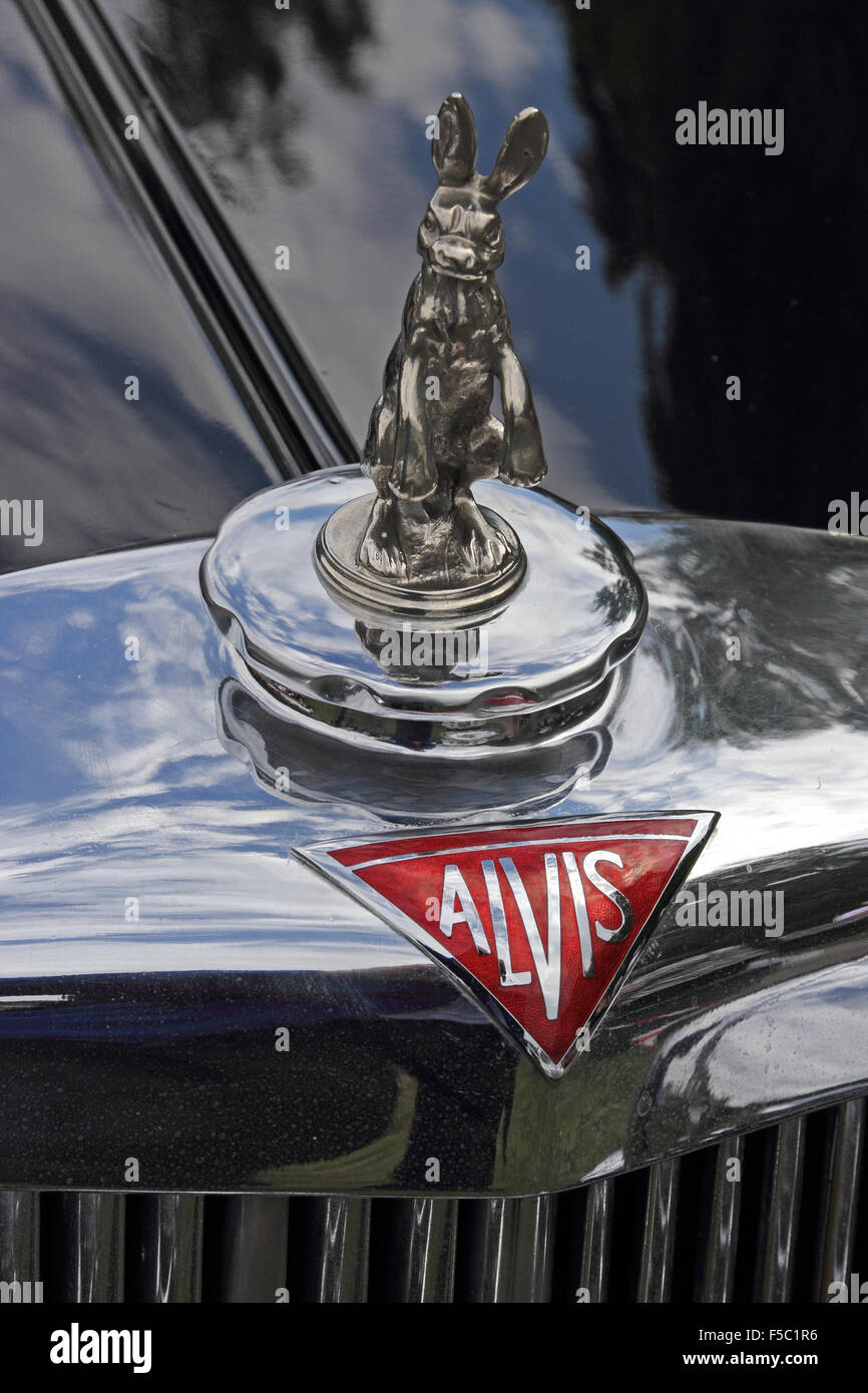 Auto-Emblem - Kaninchen auf einem Oldtimer Alvis Stockfotografie