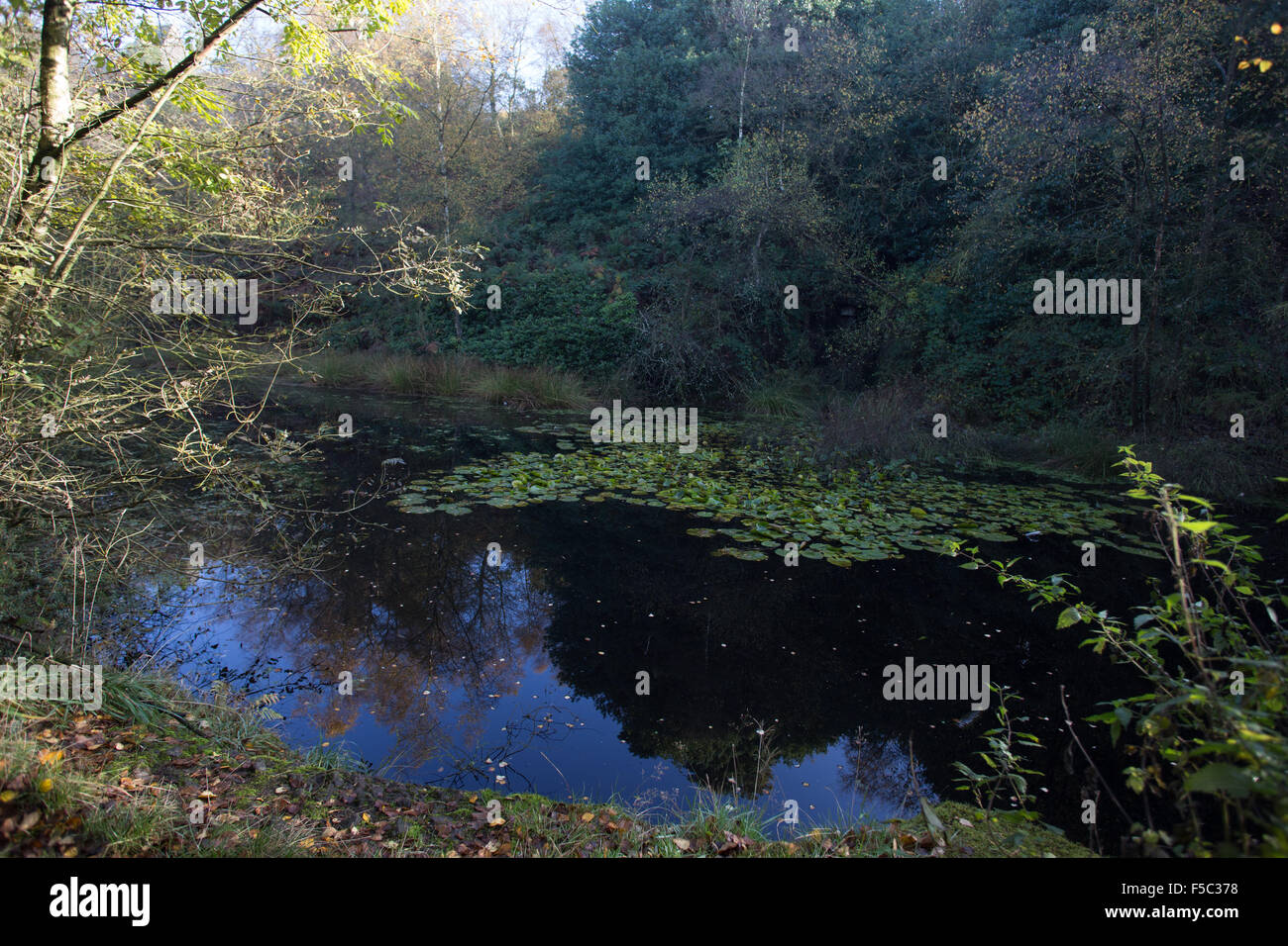 Teil der Rivington Gärten nahe Chorley, Horwich, Bolton, Adlington, Darwen und Blackburn. Sie sind im Westen der Winter Hill. Stockfoto