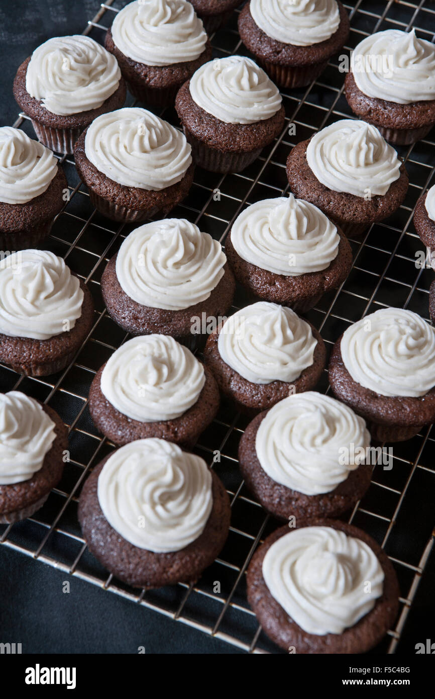 Mini Schokoladen Cupcakes mit Vanille-Buttercreme Zuckerguss auf Rack-Kühlung Stockfoto