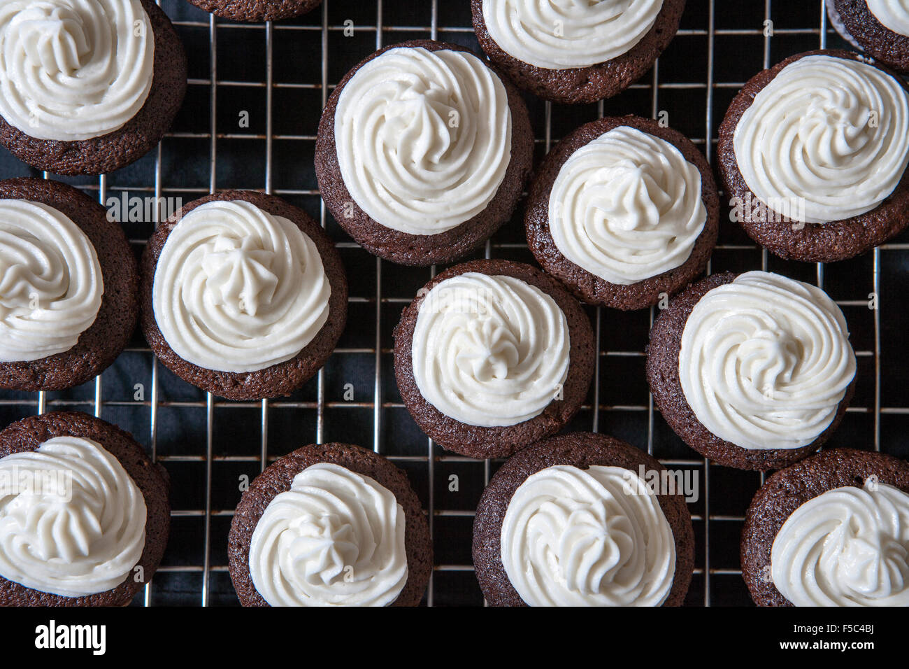 Mini Schokoladen Cupcakes mit Vanille-Buttercreme Zuckerguss auf Rack-Kühlung Stockfoto