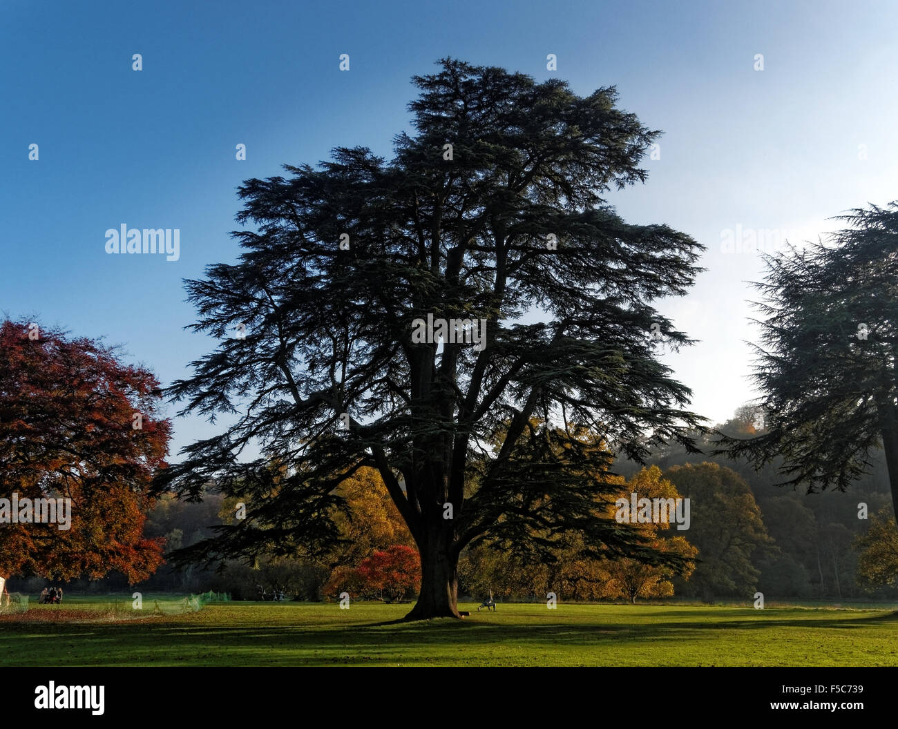 Eine schöne Herbst-Szene in Hampton Court Schloss, Gärten und Parks in der schönen Landschaft Herefordshire. Stockfoto