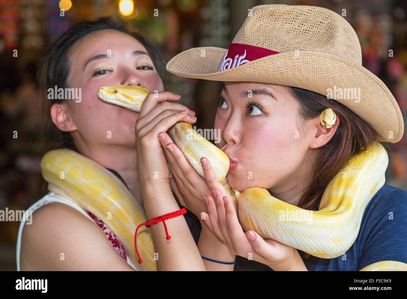 Asiatische Mädchen posiert Schlange, Bangkok, Thailand Stockfoto