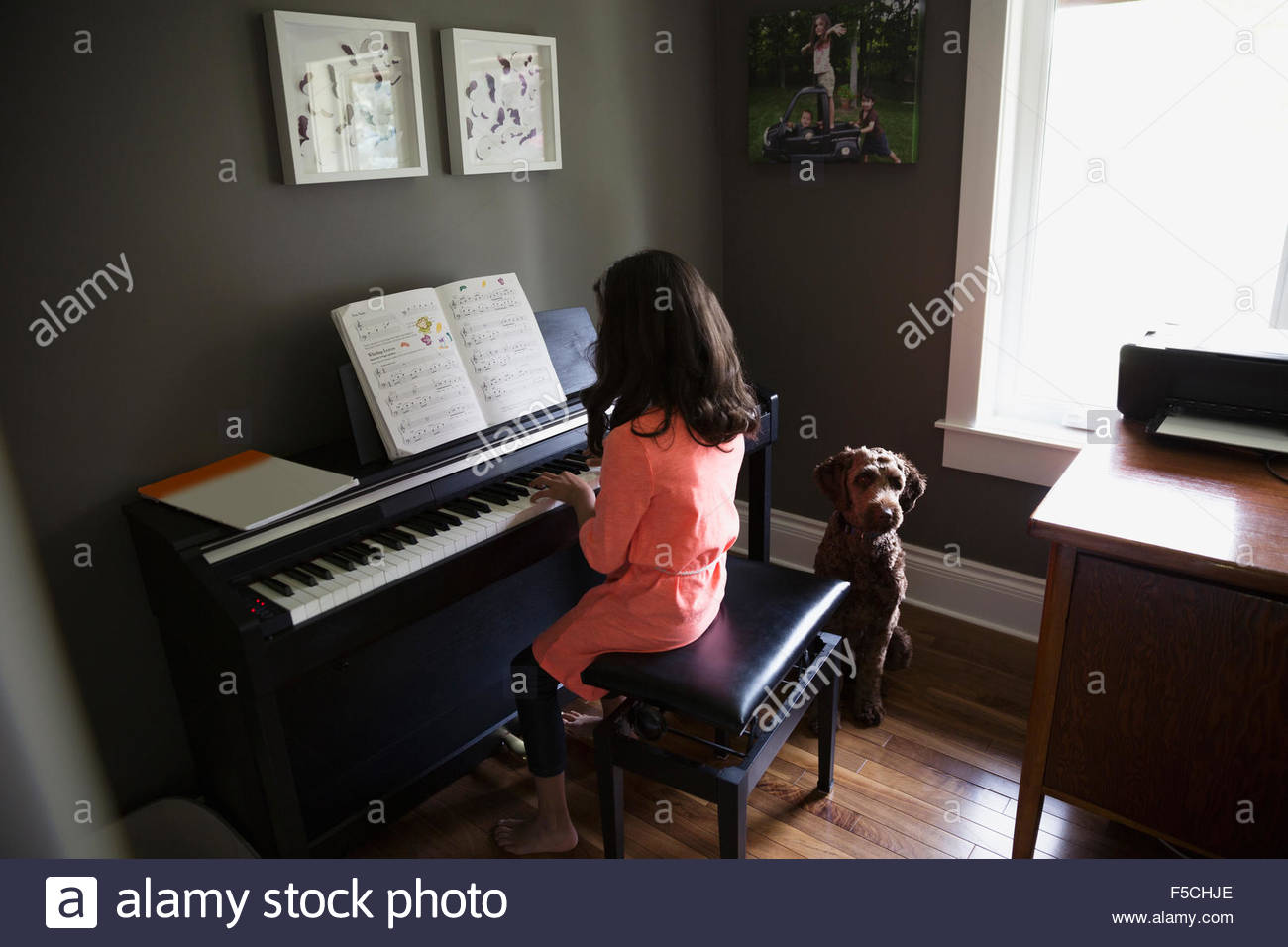 Hund wartet auf Mädchen spielt Klavier Stockfoto