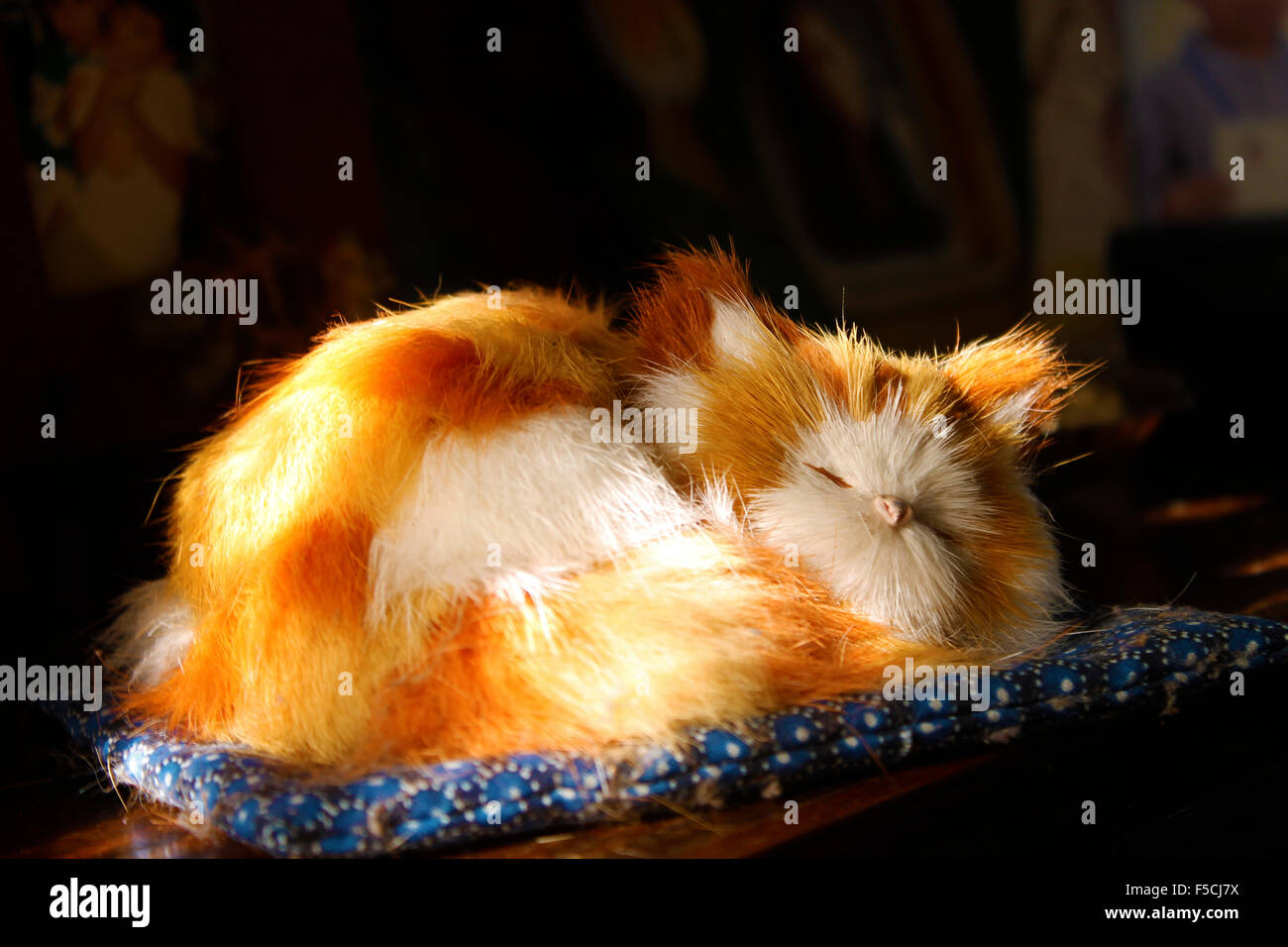 Eine Nahaufnahme Foto einer Katze Puppe Stockfoto