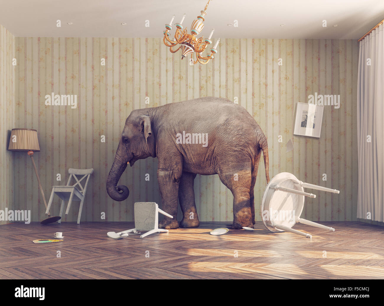Elephant In Room Stockfotos und -bilder Kaufen - Alamy