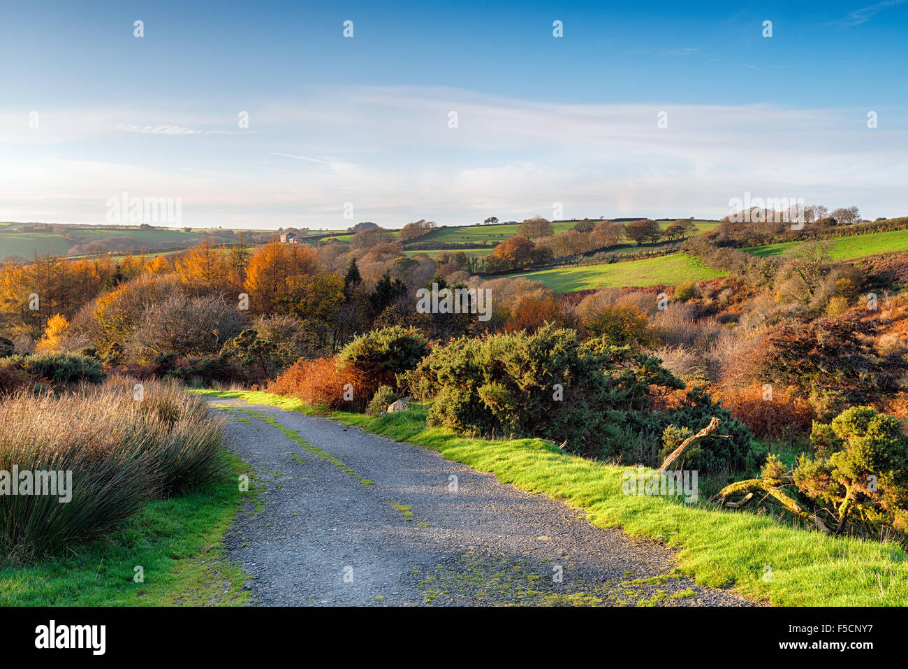 Ein Feldweg in der Nähe von Draynes in Cornwall Stockfoto