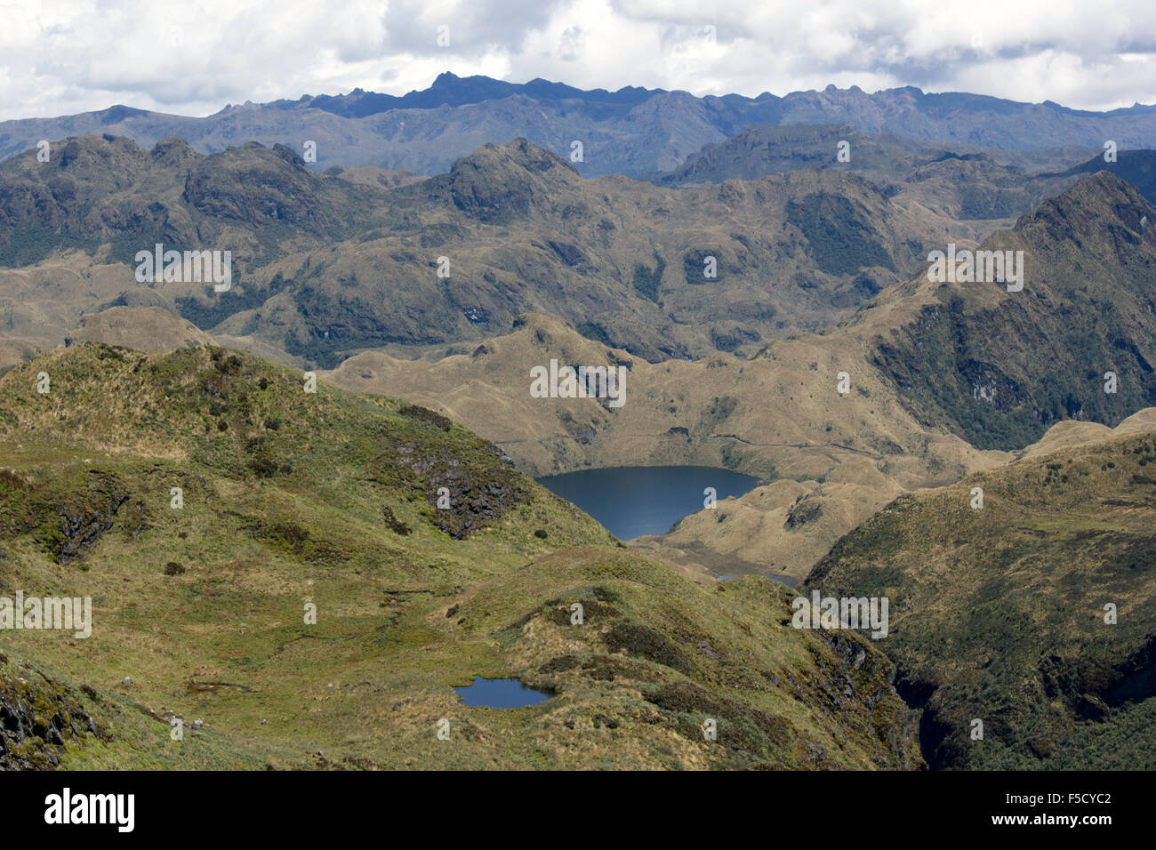 Zerklüftete Berglandschaft mit Seen in 4.500 m Höhe in den hohen Anden in der Nähe von Papallacta, Ecuador Stockfoto