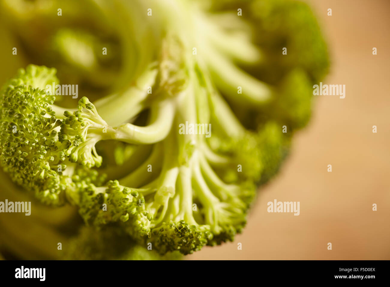 Frische, unverarbeitete Brokkoli Stockfoto