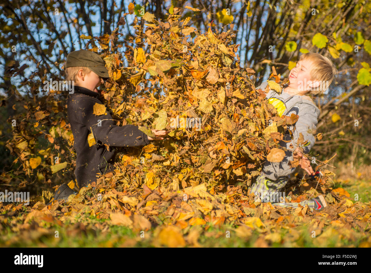 Zwei Kinder Jungs spielen, werfen Herbst fährt vom Stapel in den Garten, herbstliche Spaß, glücklich Stockfoto