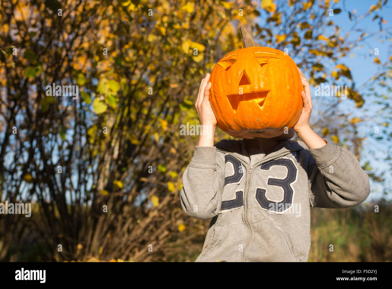 Porträt des Kindes Boy mit Halloween Kürbis Jack-o-Laternen vor Facesitting auf dem Rasen, Herbst Garten, sonniger Tag Stockfoto