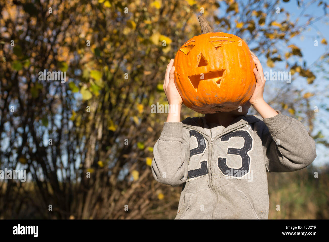 Porträt des Kindes Boy mit Halloween Kürbis Jack-o-Laternen vor Facesitting auf dem Rasen, Herbst Garten, sonniger Tag Stockfoto