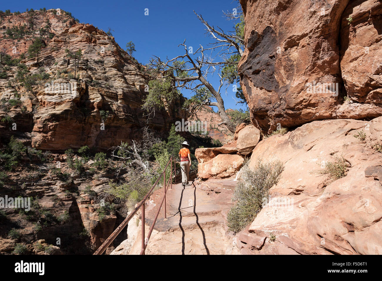 Wanderer auf Canyon Overlook Trail, Zion Nationalpark, Utah, USA Stockfoto