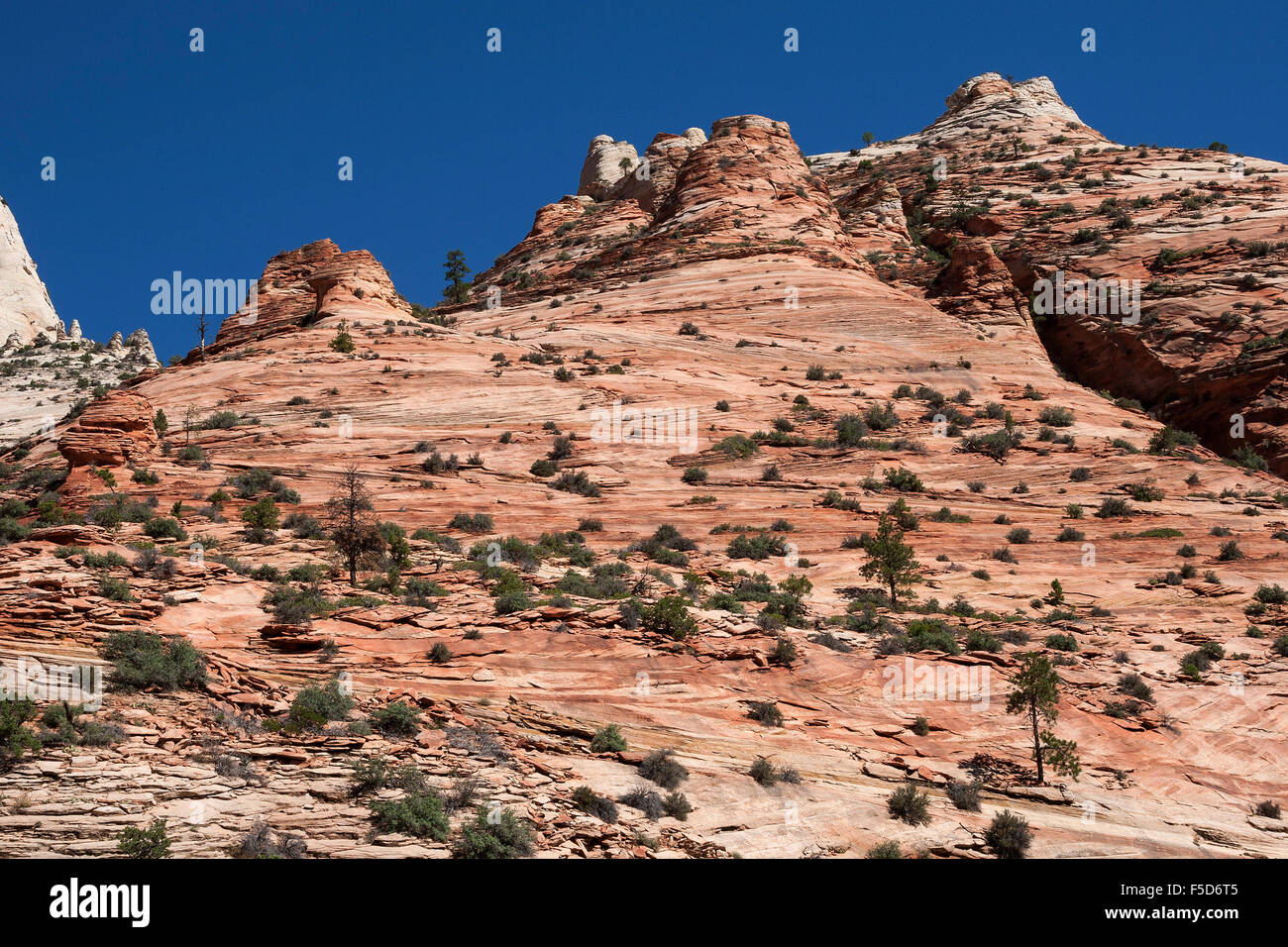 Sandstein Felsen Formationen, Canyon Overlook Trail, Zion Nationalpark, Utah, USA Stockfoto