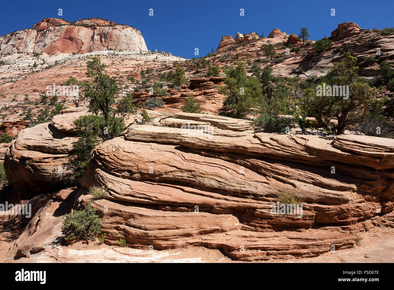 Sandstein-Felsformationen am Canyon Overlook Trail, Ost-Tempel hinten links, Zion Nationalpark, Utah, USA Stockfoto