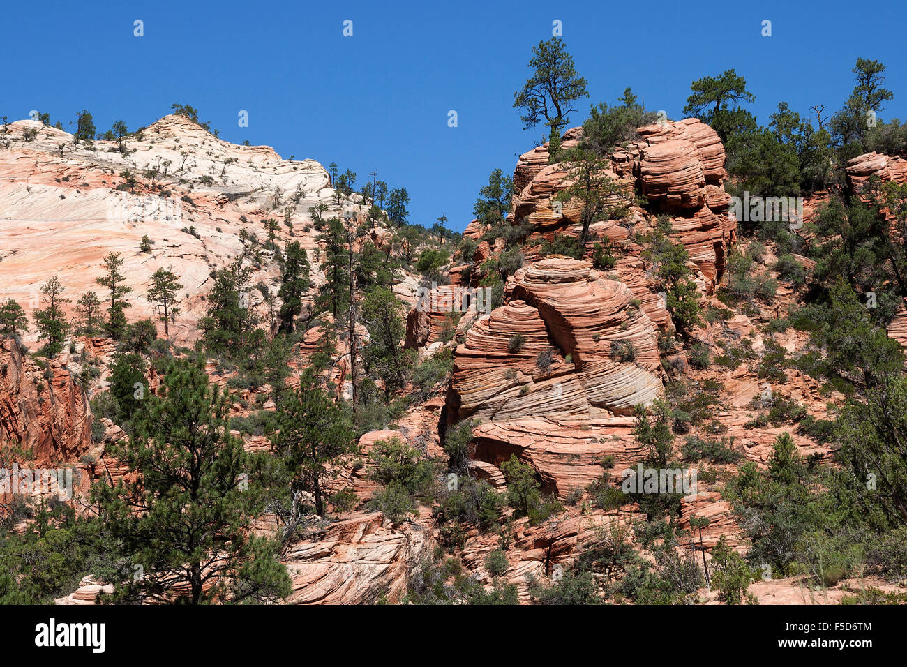 Sandstein-Felsformationen am Canyon Overlook Trail, Zion Nationalpark, Utah, USA Stockfoto