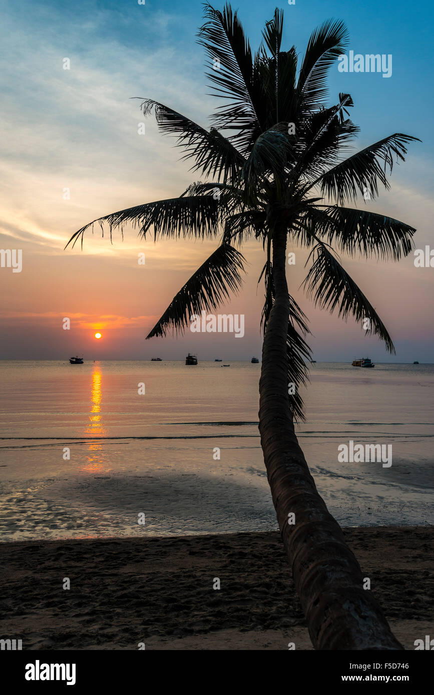 Palme vom Meer bei Sonnenuntergang, Südchinesisches Meer, Golf von Thailand, Koh Tao, Thailand Stockfoto