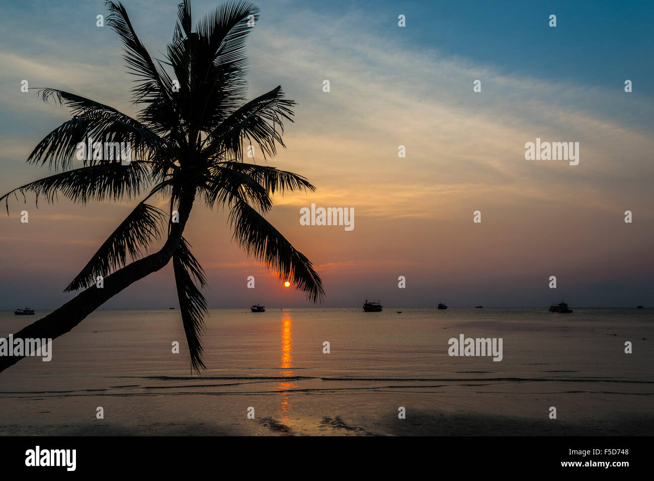 Palme vom Meer bei Sonnenuntergang, Südchinesisches Meer, Golf von Thailand, Koh Tao, Thailand Stockfoto