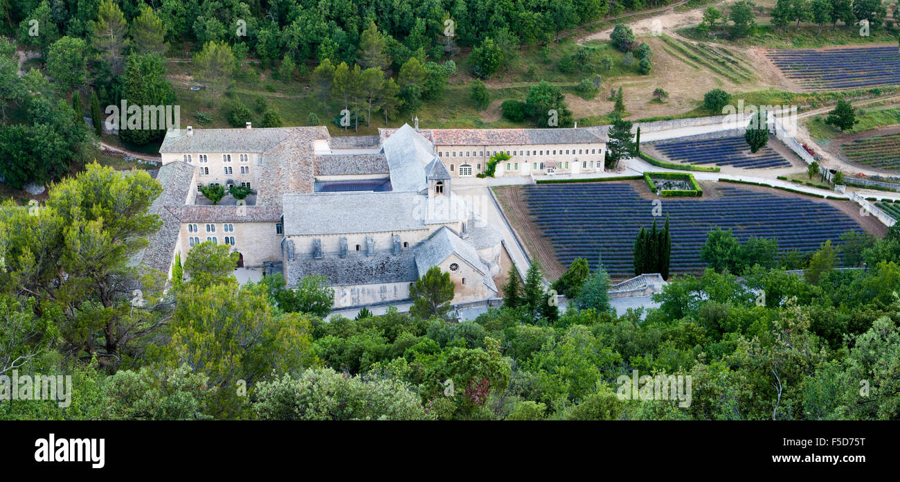 Ansicht der Zisterzienser-Abtei Abbaye Notre-Dame de Senanque mit Lavendelfeld, Vaucluse, Provence, Provence-Alpes-Côte d ' Azur Stockfoto