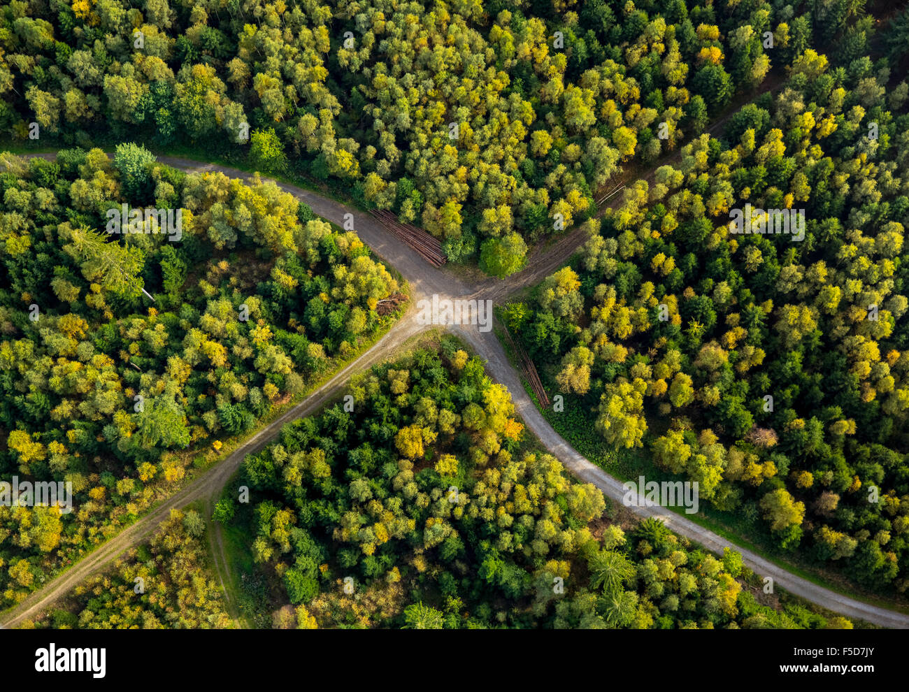 Kreuzung im Arnsberger Wald, Meschede, Sauerland, Nordrhein-Westfalen, Deutschland Stockfoto