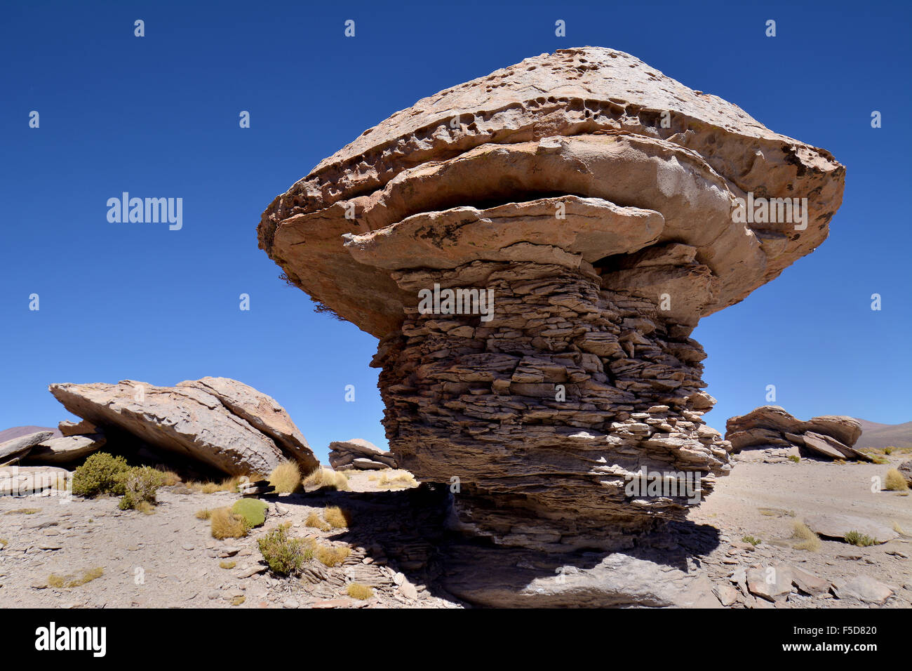 Mushroom Rocks, Felsformationen durch Winderosion erstellt, Valle de las Rocas, Uyuni, Bolivien Stockfoto