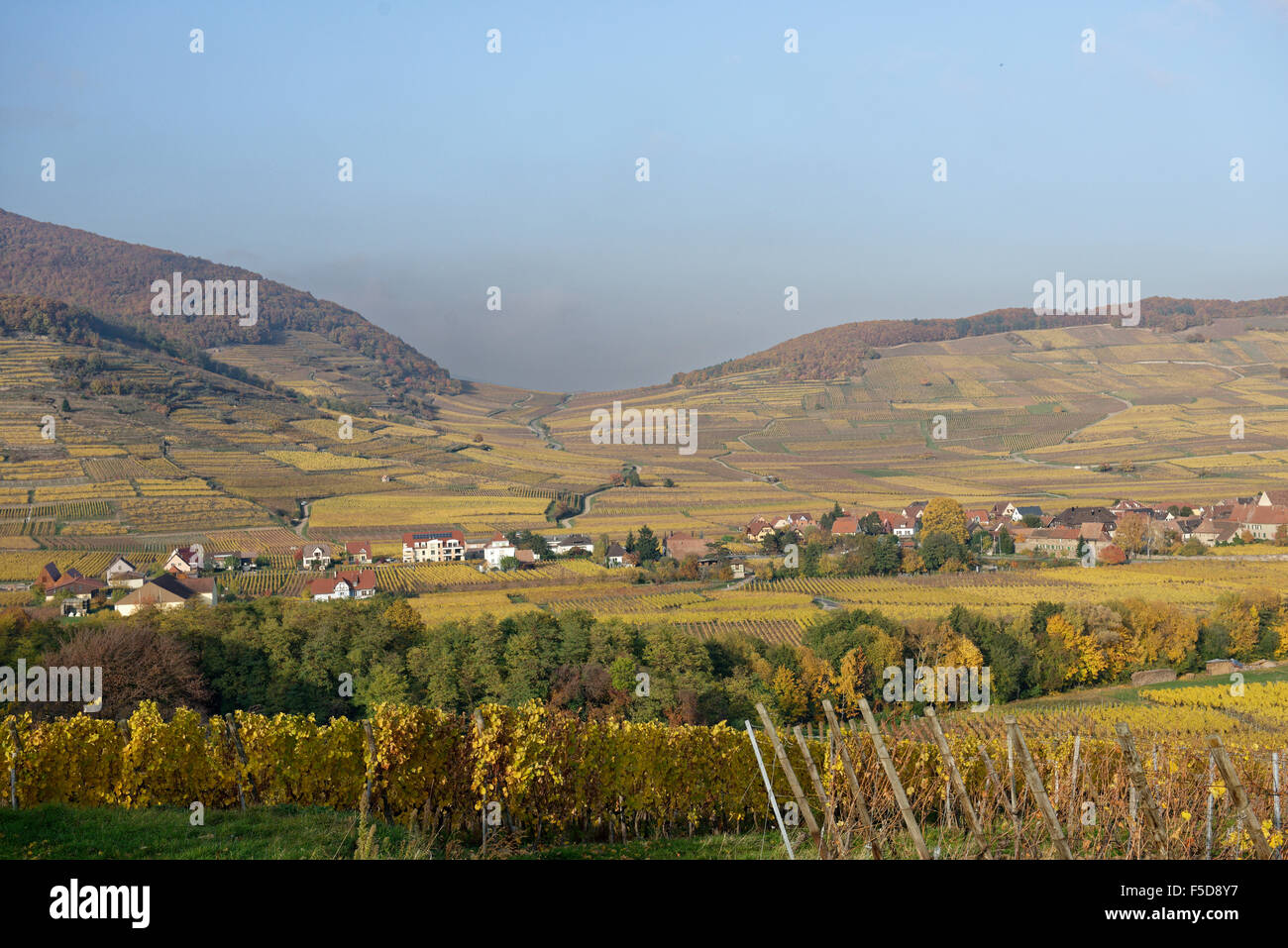 Frankreich, Elsass, Weinberge im Herbst, um Kaysersberg Stockfoto