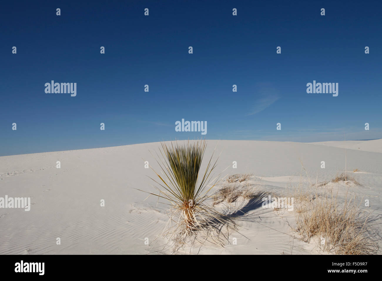 White Sands National Monument, New Mexico Stockfoto White Sands National Monument, New Mexico Stockfoto