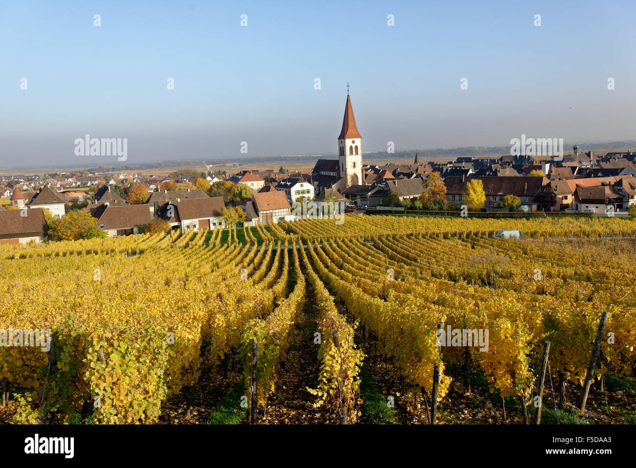 Frankreich, Elsass, Weinberg in Ammerschwihr im Herbst Stockfoto