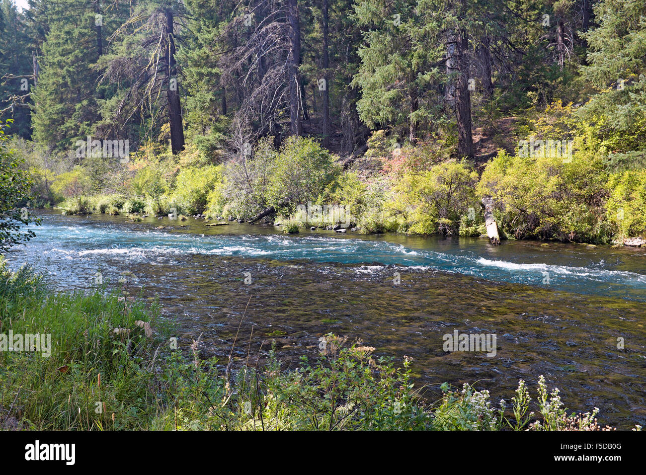 Metolius-Flusses in den Cascade Mountains von zentral-Oregon in der Nähe des Resort Schwestern in Oregon Stockfoto