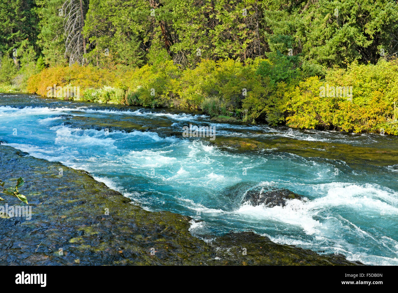 Metolius-Flusses in den Cascade Mountains in der Nähe von Schwestern, Oregon Stockfoto