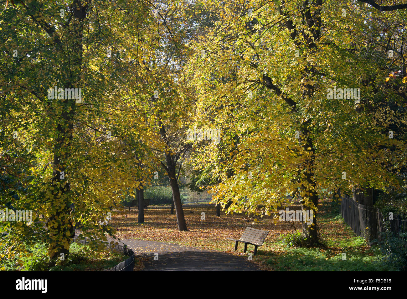 Herbstfärbung Regents Park London England Stockfoto