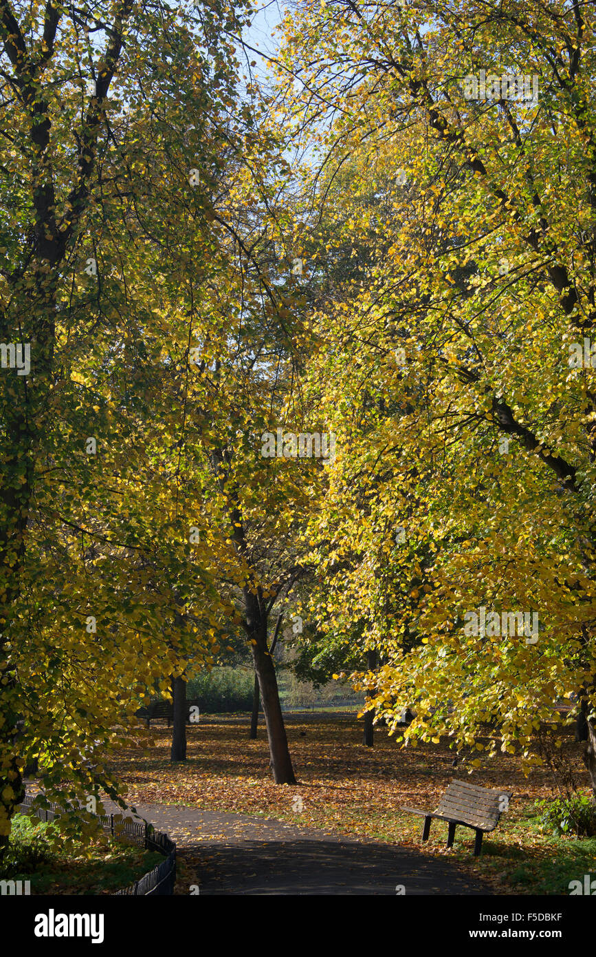 Herbstfärbung Regents Park London England Stockfoto