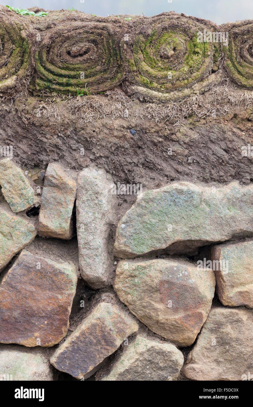 Turf gekrönt Steinmauer, UK Stockfoto