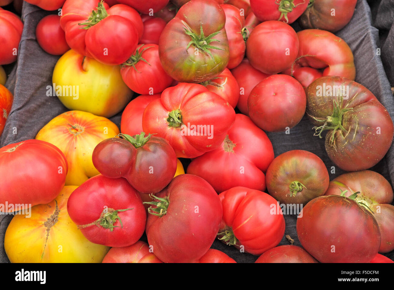 Frisch gepflückten Urtomaten auf dem Display an einem Sommer-Bauernmarkt in Bend, Oregon Stockfoto