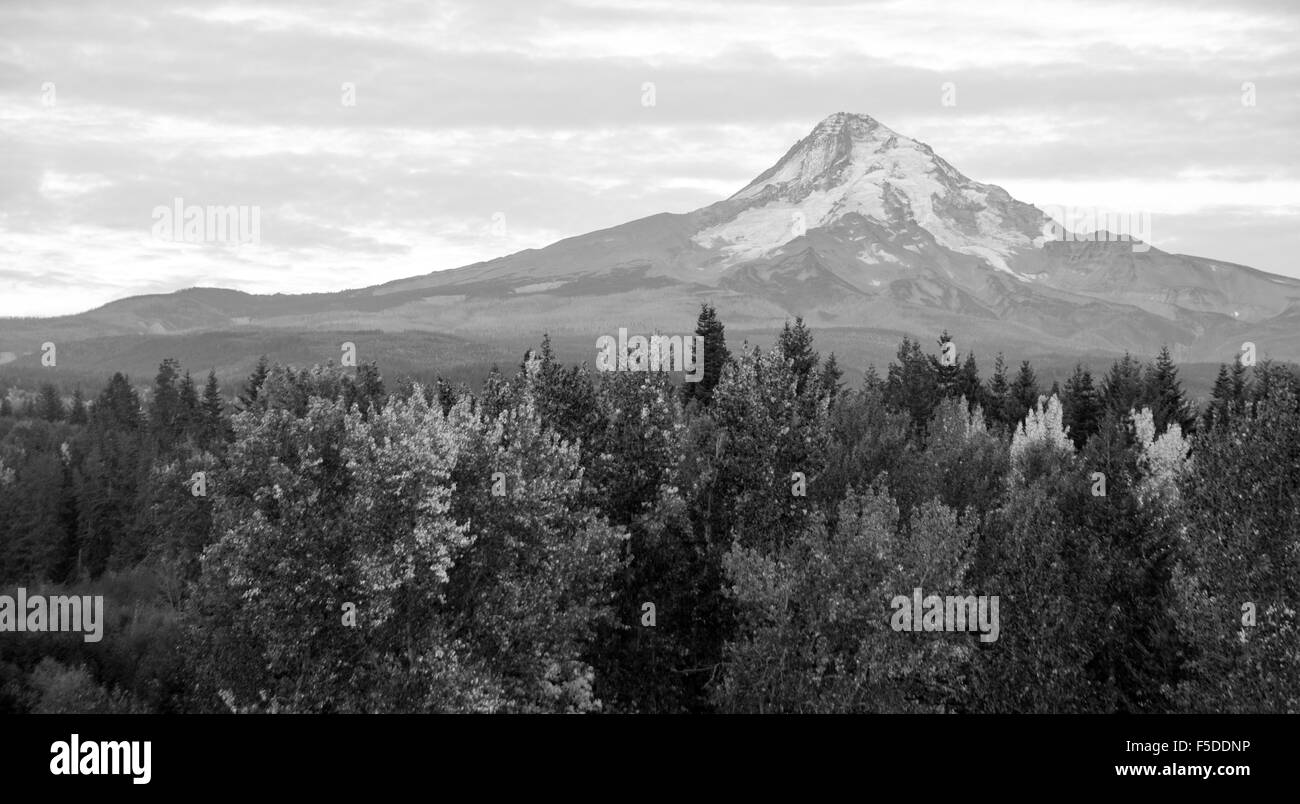 Mount Hood steht allein im Herbst bei Sonnenaufgang Stockfoto