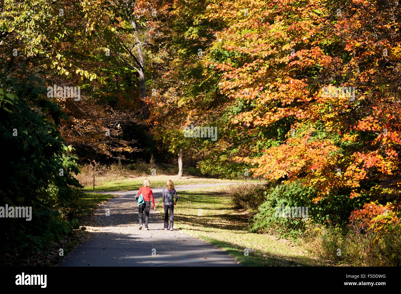 Zwei Frauen zu Fuß auf einem Pfad durch den Wald im Herbst, Stowe, Vermont VT USA Stockfoto
