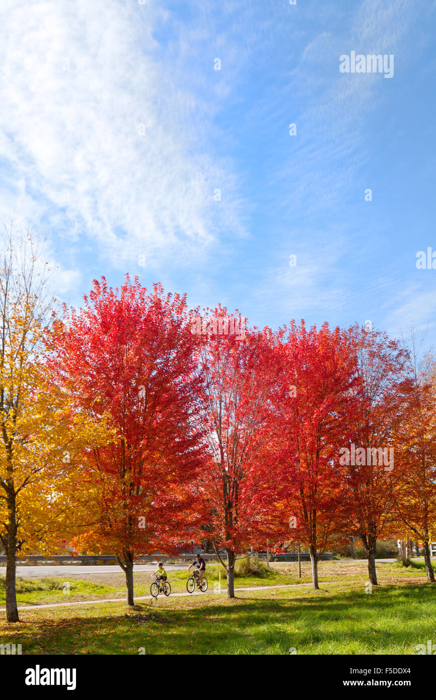 Menschen, die im Herbst, Stowe, Vermont USA Stockfoto