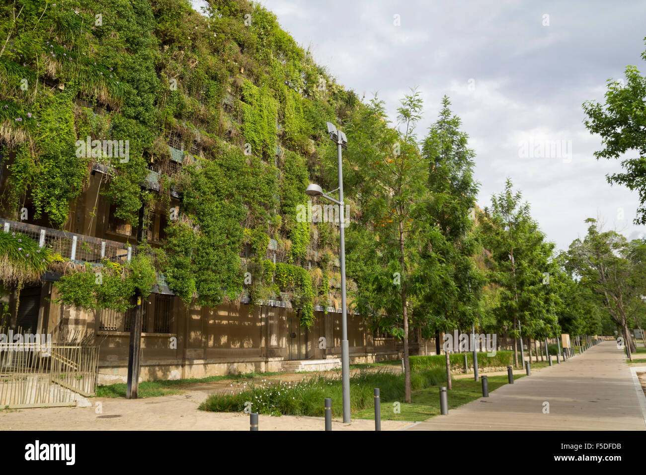 Grüne Wand in ein nachhaltiges Bauen Stockfoto
