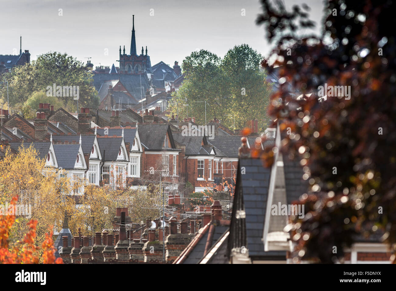 Herbst Farbe in den Bäumen des Dukes Avenue, einer Straße im Norden Londons Bezirk Muswell Hill. Stockfoto