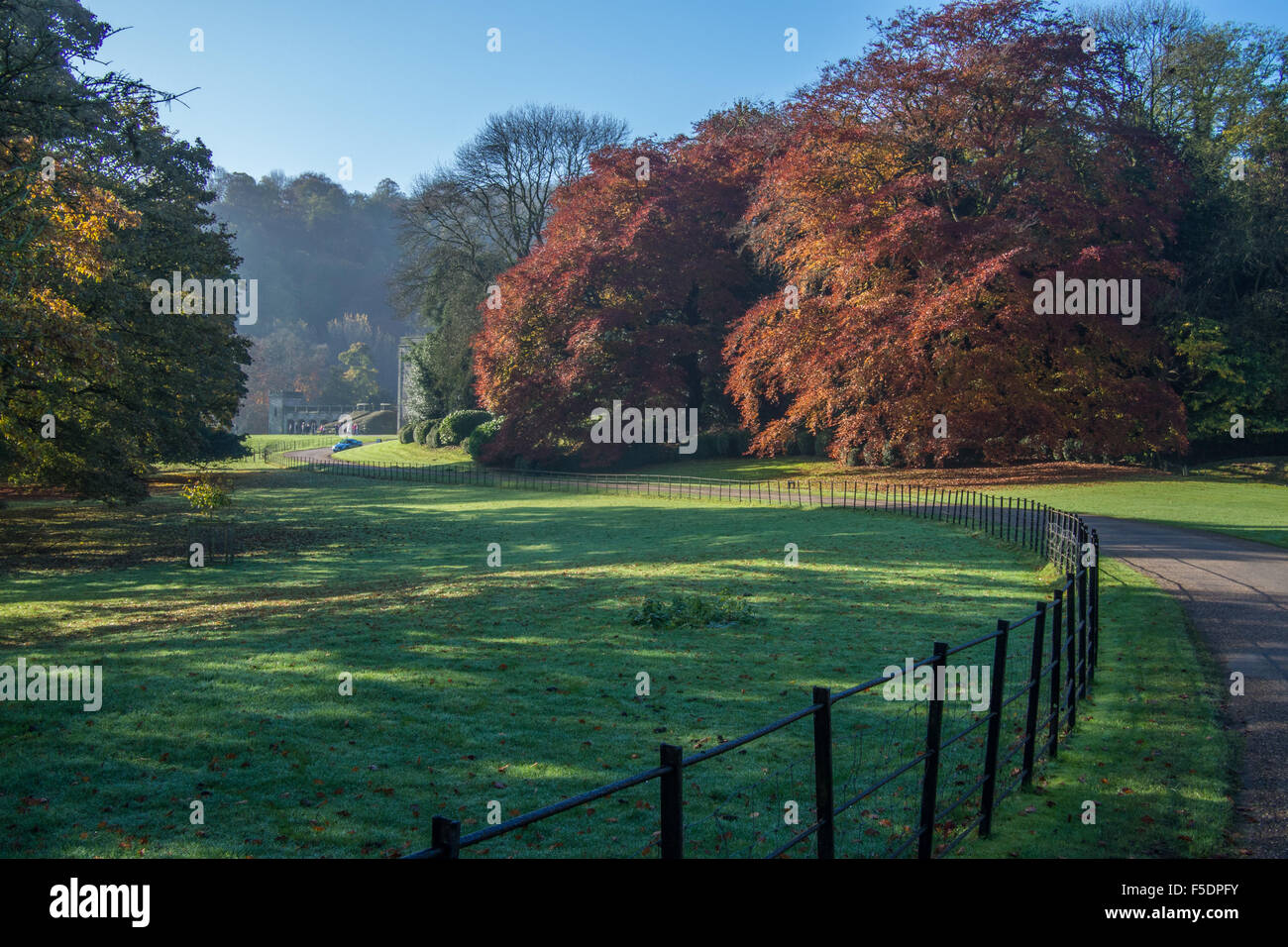 Ilam Park, Ilam im Peak Distrist, in der Nähe von Ashbourne, Derbyshire, England. Stockfoto