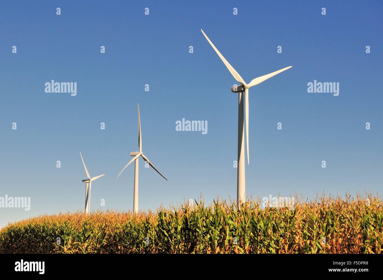 Windenergieanlagen Turm über eine ausgereifte Maisernte auf Ackerland in der Nähe von Steward, Illinois, USA. Stockfoto