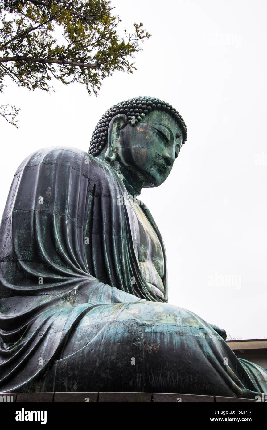 Die große Daibutsu, Buddha von Kamakura, eine Bronzestatue des Amida Buddha im Kotokuin Tempel, Kamakura, Kanagawa, Japan Stockfoto