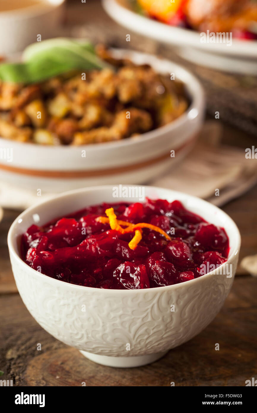 Hausgemachte Bio rote Cranberry-Sauce zum Erntedankfest Stockfoto