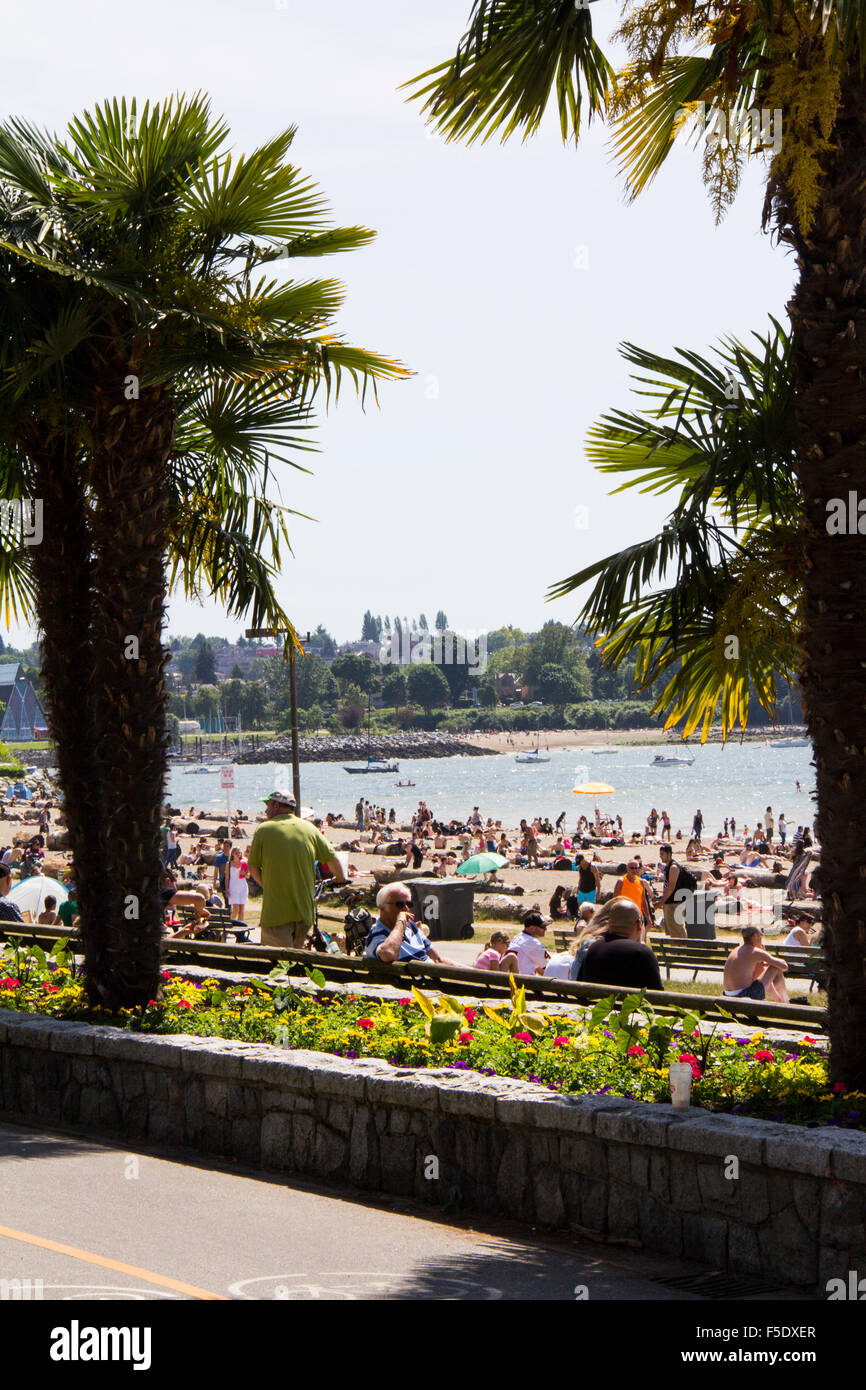 Lassen Sie sich nicht täuschen Palmen--das ist Englisch Bay Beach in Vancouver, British Columbia, Kanada. Stockfoto