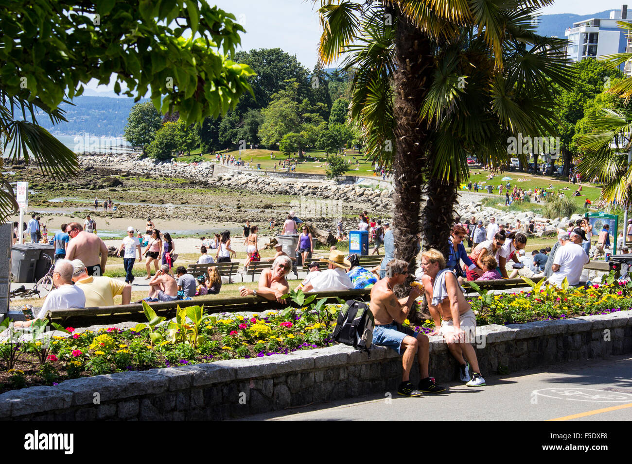 Lassen Sie sich nicht täuschen Palmen--das ist Englisch Bay Beach in Vancouver, British Columbia, Kanada. Stockfoto