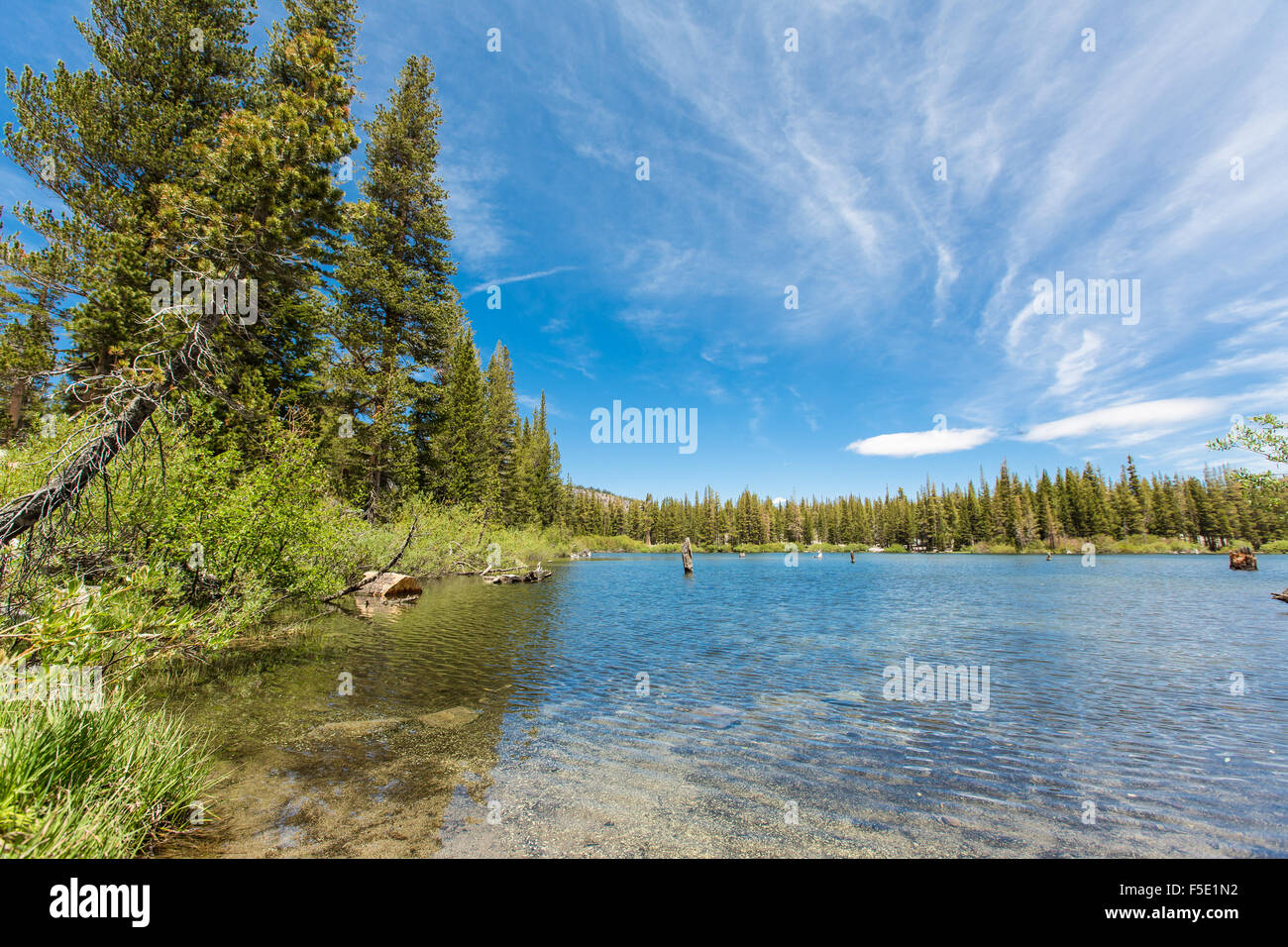 Küste bei Mammoth Lakes, Sierra Nevada, Kalifornien, USA Stockfoto
